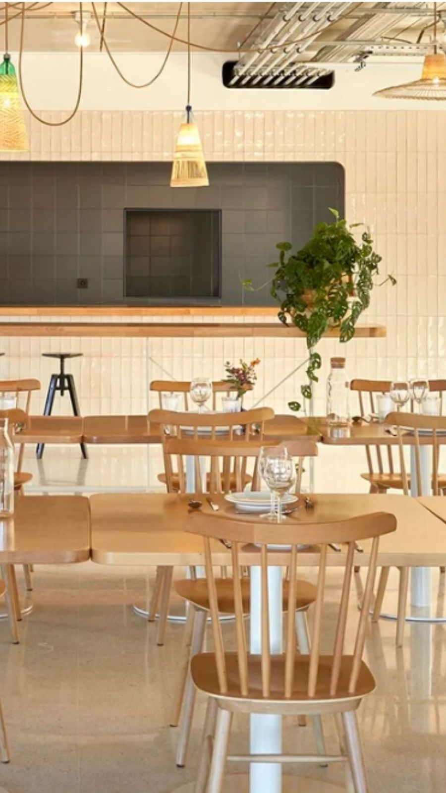 Comedor y sala común luminosa con plantas